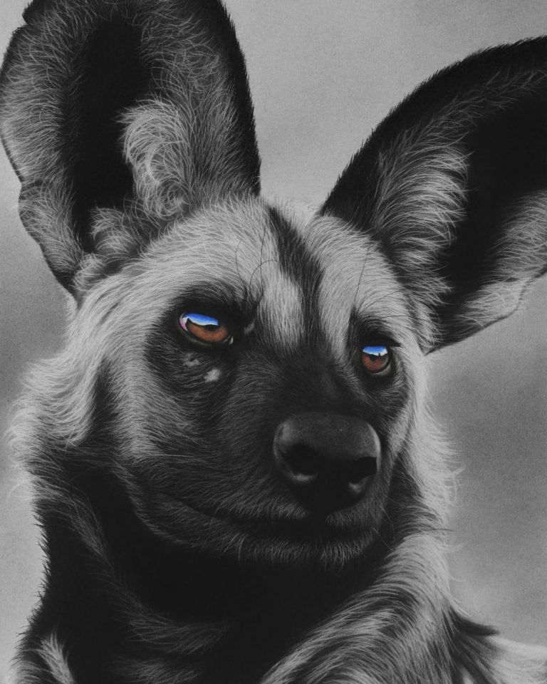 Painted Wolf